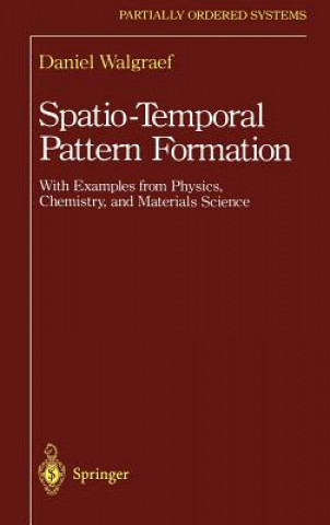 Knjiga Spatio-Temporal Pattern Formation Daniel Walgraef