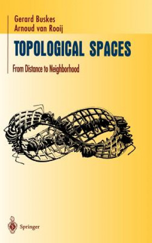 Книга Topological Spaces Gerard Buskes