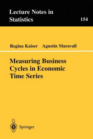 Könyv Measuring Business Cycles in Economic Time Series Regina Kaiser