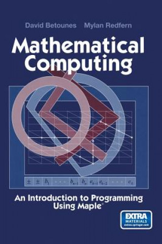 Carte Mathematical Computing David Betounes