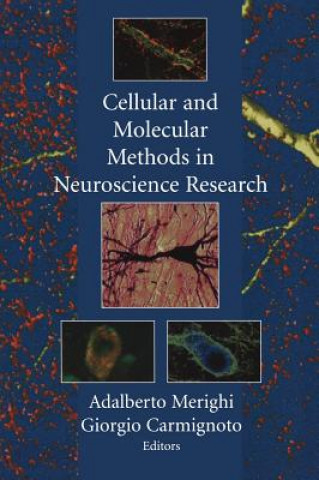 Book Cellular and Molecular Methods in Neuroscience Research Adalberto Merighi