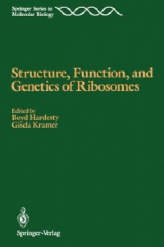 Kniha Structure, Function, and Genetics of Ribosomes Boyd Hardesty