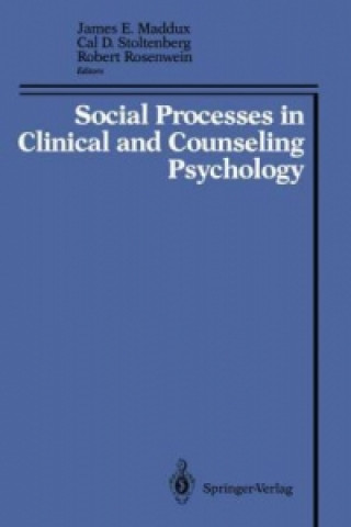 Buch Social Processes in Clinical and Counseling Psychology James E. Maddux