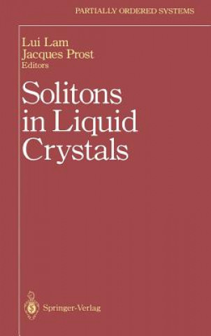 Kniha Solitons in Liquid Crystals Lui Lam