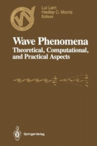 Carte Wave Phenomena Lui Lam