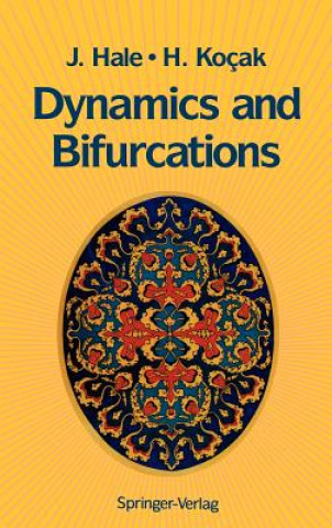 Kniha Dynamics and Bifurcations Jack K. Hale