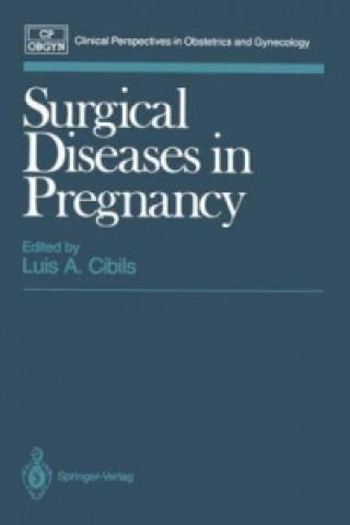 Könyv Surgical Diseases in Pregnancy Luis A. Cibils