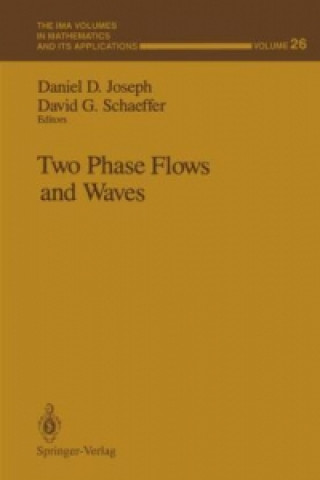 Könyv Two Phase Flows and Waves Daniel D. Joseph