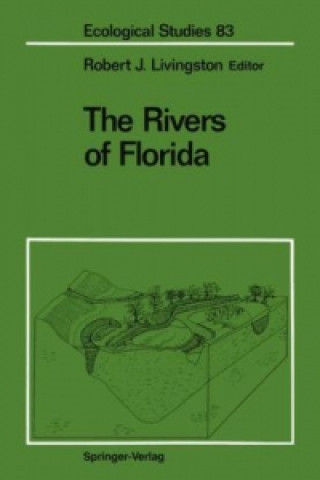 Kniha Rivers of Florida Robert J. Livingston