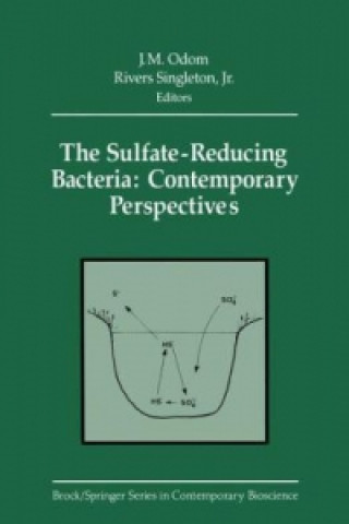 Könyv The Sulfate-Reducing Bacteria: Contemporary Perspectives J.M. Odom