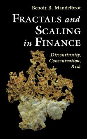 Книга Fractals and Scaling in Finance Benoît B. Mandelbrot