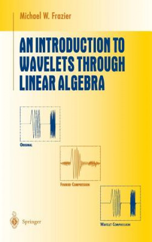 Książka Introduction to Wavelets Through Linear Algebra Michael W. Frazier