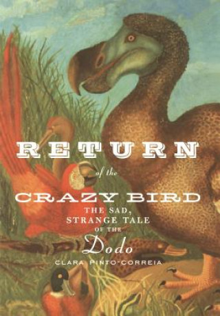 Kniha Return of the Crazy Bird Clara Pinto Correia