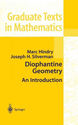 Könyv Diophantine Geometry Marc Hindry