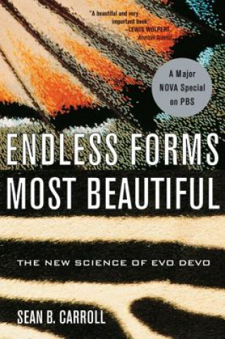 Kniha Endless Forms Most Beautiful Sean B. Carroll