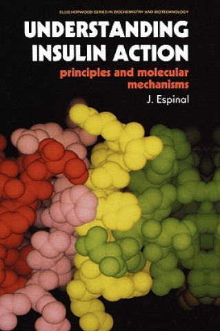 Buch Understanding Insulin Action Joeseph Espinal
