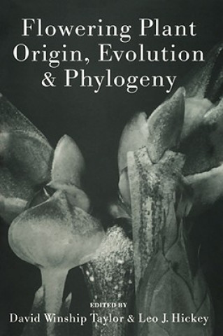 Carte Flowering Plant Origin, Evolution & Phylogeny David W. Taylor