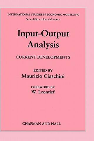 Książka Input-Output Analysis M. Giaschini
