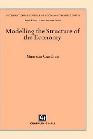 Kniha Modelling the Structure of the Economy M. Ciaschini