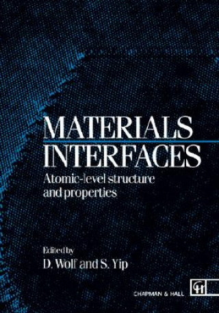 Kniha Materials Interfaces D. Wolf