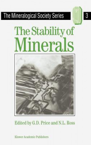 Carte The Stability of Minerals G.D. Price