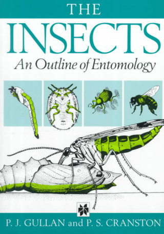 Könyv Insects : An Outline of Entomology P. J. Gullan
