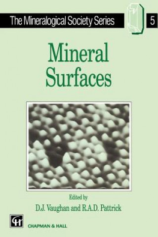 Könyv Mineral Surfaces D. Vaughan