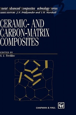 Buch Ceramic-and Carbon-matrix Composites V. I. Trefilov