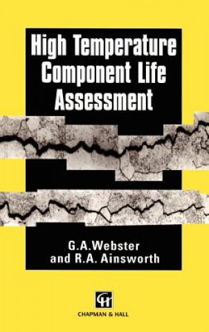 Könyv High Temperature Component Life Assessment G.A. Webster