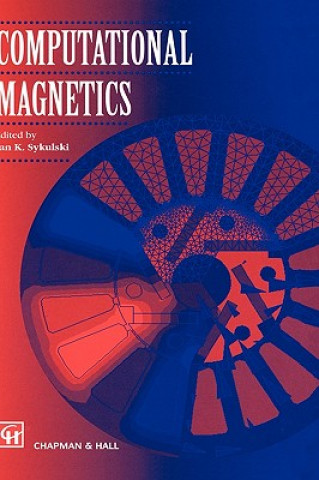 Knjiga Computational Magnetics J. Sykulski