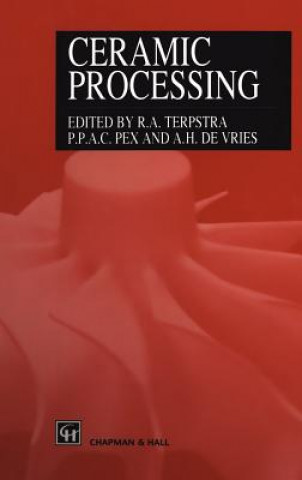 Kniha Ceramic Processing R.A. Terpstra