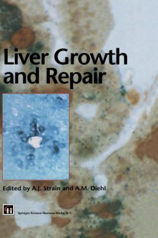 Könyv Liver Growth and Repair A. Strain