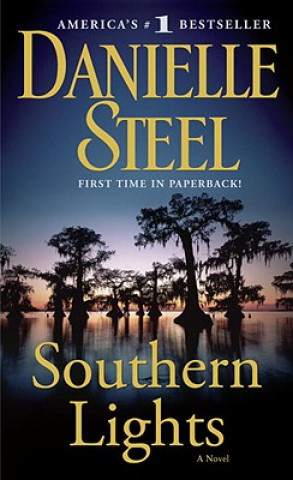 Buch Southern Lights Danielle Steel