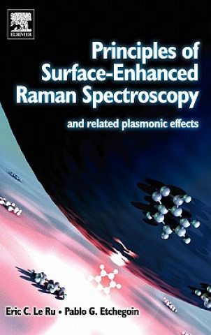 Книга Principles of Surface-Enhanced Raman Spectroscopy Eric Le Ru