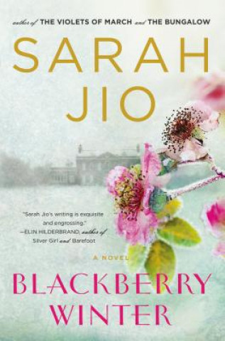 Книга Blackberry Winter Sarah Jio