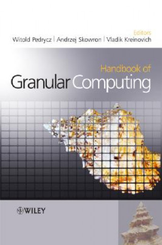 Kniha Handbook of Granular Computing Witold Pedrycz