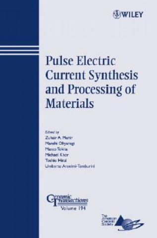Könyv Pulse Electric Current Synthesis and Processing of  Materials - Ceramic Transactions Series V194 Zuhair A. Munir