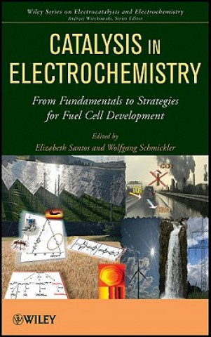 Könyv Catalysis in Electrochemistry - From Fundamentals to Strategies for Fuel Cell Development Elizabeth Santos