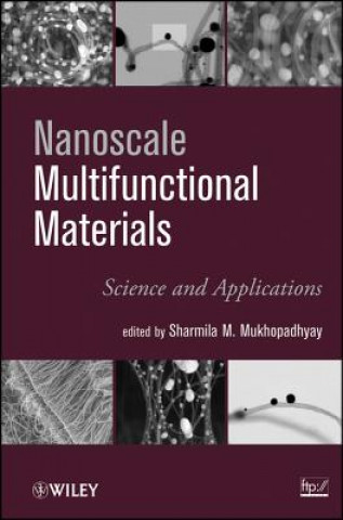 Kniha Nanoscale Multifunctional Materials - Science & Applications Sharmila M. Mukhopadhyay