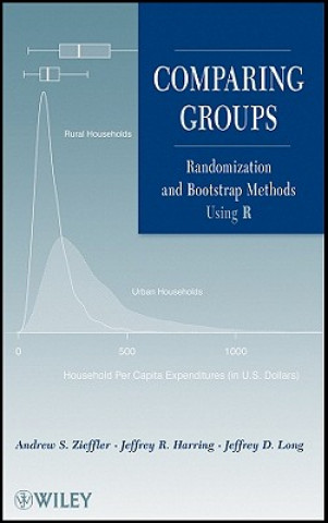 Könyv Comparing Groups - Randomization and Bootstrap Methods Using R Andrew Zieffler