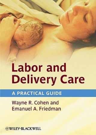 Kniha Labor and Delivery Care - A Practical Guide Wayne R. Cohen