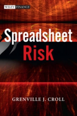 Knjiga Spreadsheet Risk Grenville Croll