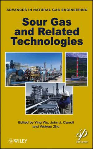 Knjiga Sour Gas and Related Technologies John J. Carroll