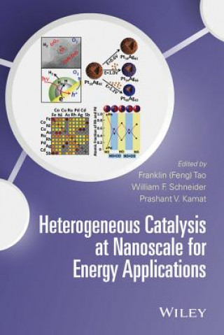 Könyv Heterogeneous Catalysis at Nanoscale for Energy Applications Feng Tao