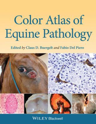 Könyv Color Atlas of Equine Pathology Claus D. Buergelt