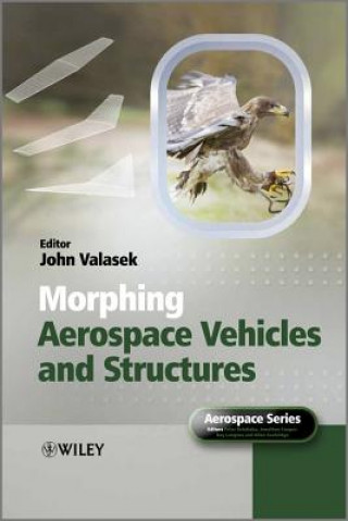 Kniha Morphing Aerospace Vehicles and Structures John Valasek