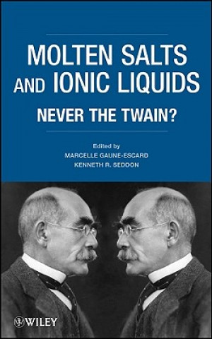 Kniha Molten Salts and Ionic Liquids - Never the Twain? Kenneth R. Seddon