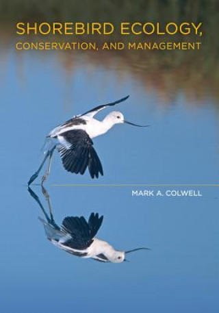 Książka Shorebird Ecology, Conservation, and Management Mark A. Colwell