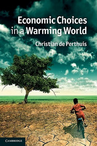 Kniha Economic Choices in a Warming World Christian De Perthuis