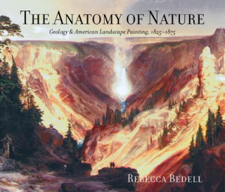 Könyv Anatomy of Nature Rebecca Bedell